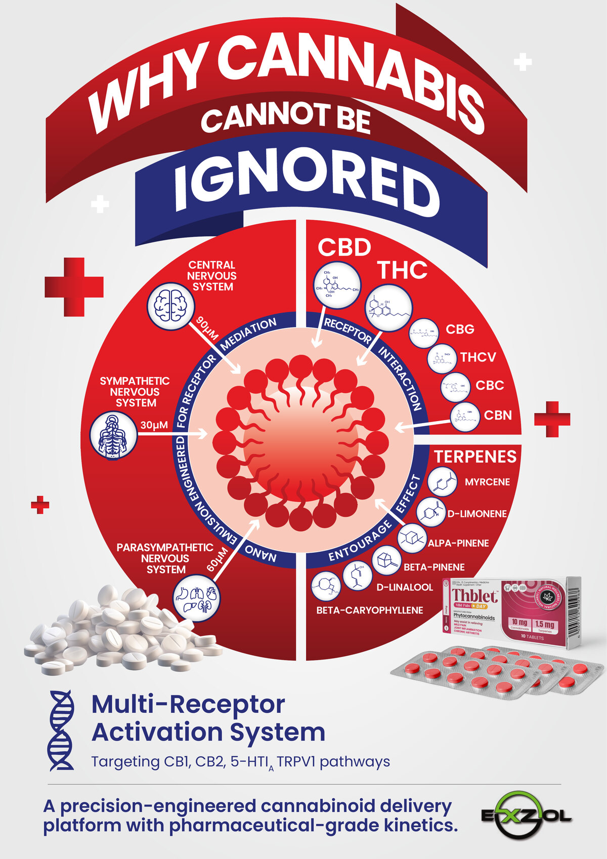 Thblet poster, Why Cannabis Cannot Be Ignored: the Multi-Receptor Activation System, targeting the CB1, CB2, 5-HT1A and TRPV1 pathways. A nano-emulsion engineered for receptor mediation across the central, sympathetic and parasympathetic nervous systems, the cannabinoids CBD, THC, CBG, THCV, CBC and CBN, and the terpenes myrcene, D-limonene, alpha-pinene, beta-pinene, D-linalool and beta-caryophyllene working together as the entourage effect